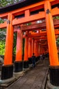 Path lined with giant Torii gates at the Fushimi Inari temple, Kyoto, Japan