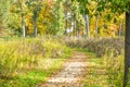 Path through Lizard Mound County Park