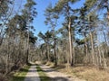 Path through the Lombokbossen forest