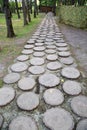 The path is made of sawn wooden rings of pine, fastened with concrete. The Construction Royalty Free Stock Photo