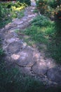 The path is made of stumps in the garden. Royalty Free Stock Photo