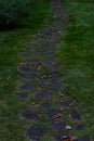 A path made of wooden circles, sawn wood. Royalty Free Stock Photo