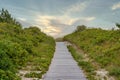 Path made of wooden planks through the green dunes Royalty Free Stock Photo