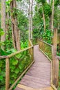 Path in Mamelles Parc