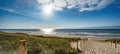 A path with many tracks, delimited by wooden posts on the sand dune with wild grass and beach in Noordwijk on the North Sea in Royalty Free Stock Photo