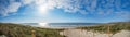 A path with many tracks, delimited by wooden posts on the sand dune with wild grass and beach in Noordwijk on the North Sea in Royalty Free Stock Photo