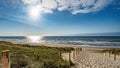 A path with many tracks, delimited by wooden posts on the sand dune with wild grass and beach in Noordwijk on the North Sea in Royalty Free Stock Photo