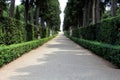 Path with Many Trees on Either Side