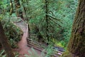 Path at Marymere Falls Royalty Free Stock Photo