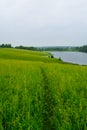 Path in the meadow. Beautiful summer landscape. Lakes and rivers.