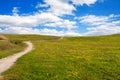 The path between meadow with daisies