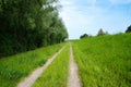 Path through a meadow and forest, nature in spring, environment and ecology concept, recreational area in Germany Royalty Free Stock Photo