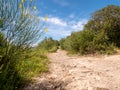 Path in a mediterrean environement in Italy