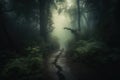 a path in the middle of a dark forest with fog Royalty Free Stock Photo