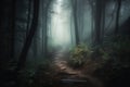 a path in the middle of a dark forest with fog Royalty Free Stock Photo