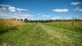 Path in the middle of the fields, and alley of trees in the background, blue sky and cottony clouds Royalty Free Stock Photo