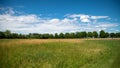 Path in the middle of the fields, and alley of trees in the background, blue sky and cottony clouds Royalty Free Stock Photo