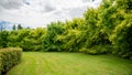 Path in the middle of the fields, and alley of trees in the background, blue sky and cottony clouds Royalty Free Stock Photo