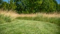 Path in the middle of the fields, and alley of trees in the background,