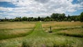 Path in the middle of the fields, and alley of trees in the background Royalty Free Stock Photo