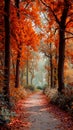 A path in the middle of a forest covered in orange leaves Royalty Free Stock Photo