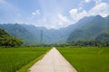 A path in the middle of the green rice fields in the mountains, in Asia, in Vietnam, in Tonkin, towards Hanoi, in Mai Chau, in Royalty Free Stock Photo