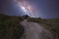 Path in the middle of a shrubland leading to a house under an aesthetic composite milky way