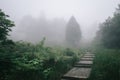 Path on Mingyue Mountain, Jiangxi, China Royalty Free Stock Photo