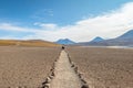 Path on Miniques and Miscanti Lagoon area - Atacama Desert, Chile Royalty Free Stock Photo