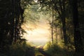 path through a misty spring forest during sunrise country road deciduous at morning fog surrounds the trees illuminated by rays of Royalty Free Stock Photo