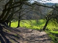 A path through mixed deciduous woodland in winter Royalty Free Stock Photo