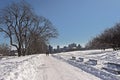 Path in Mont Royal park in Montreal., wth skyscrapers of downtown in the background Royalty Free Stock Photo