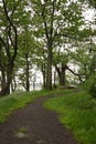Path on Moswetuset Hummock, Quincy, Massachusetts Royalty Free Stock Photo