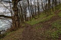 Path in mountain forest along the river Royalty Free Stock Photo