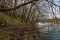 Path in mountain forest along the river Royalty Free Stock Photo