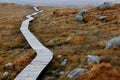 Path on mountain in ireland