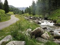 Path beside a mountain stream above S-charl, Lower Engadine, Switzerland
