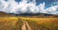 Path through mountains. Trekking mountain trail. Bright panoramic minimalist alpine landscape with stony footpath among grasses in