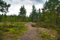 Path in mysterious beautiful pine forest, Park Mon Repos, Vyborg, Russia Royalty Free Stock Photo