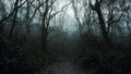 A path through a mysterious forest on a spooky winters day. With fog creating silhouetted branches. With a dark moody edit Royalty Free Stock Photo