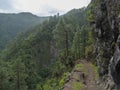 Path at mysterious Laurel forest Laurisilva, lush subtropical rainforest at hiking trail Los Tilos, La Palma, Canary