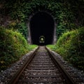 Path Through a Mysterious Overgrown Train Tunnel Royalty Free Stock Photo