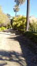 Path inside of Botanical Garden