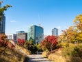 Path in Namsan Park on Nam Mountain on autumn day Royalty Free Stock Photo