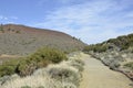 Path in national Park el Teide