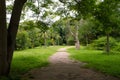 Path between native trees in Montevideo, Uruguay