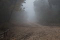 Path of the natural park of the Red Fountain of Alcoy on a day with rain and fog