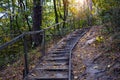 Path in natural parkland. Scenic autumn forest road with old wooden steps Royalty Free Stock Photo
