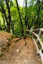 Path in the natural reserve of Morigerati Royalty Free Stock Photo