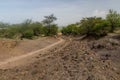 Path near Arba Minch, Ethiop Royalty Free Stock Photo